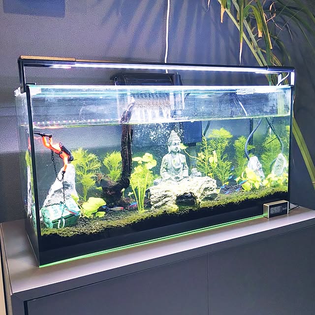 iegomori0621さんの部屋