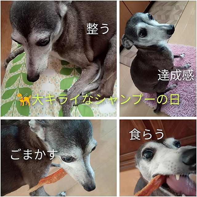 moruさんの部屋