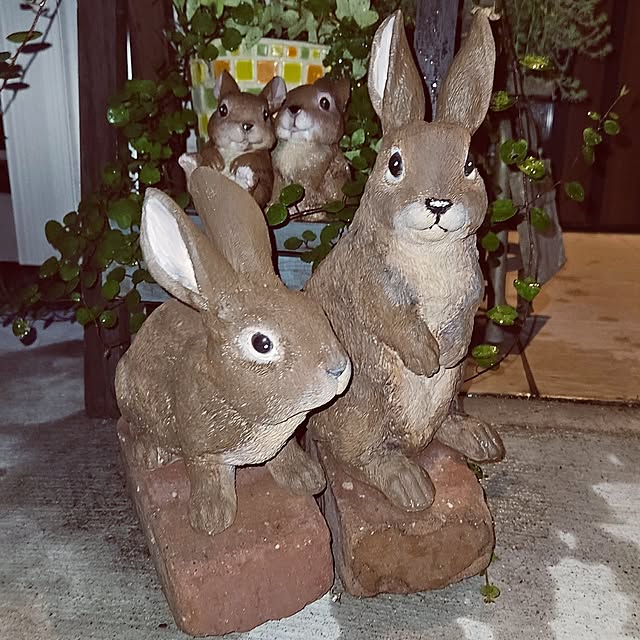 mocomocoさんの部屋