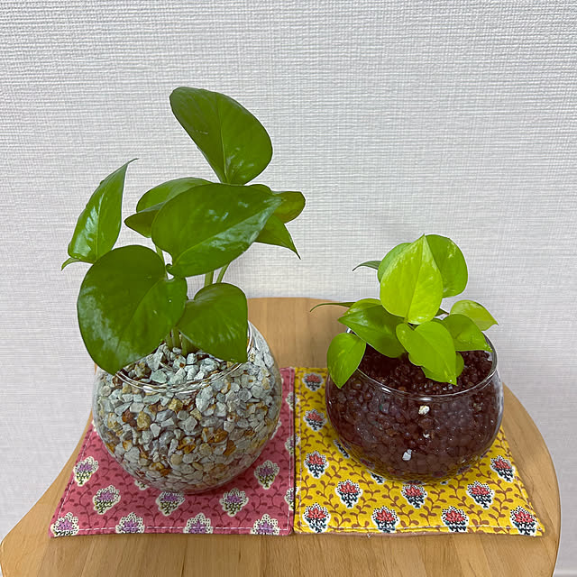 yoyoyoさんの部屋