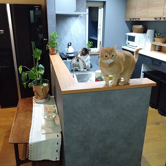 CHIKAさんの部屋