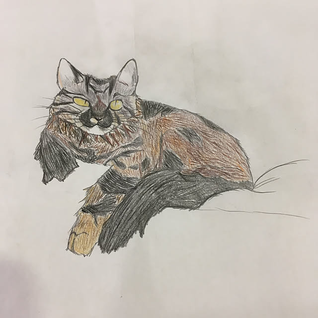 mikomaruさんの実例写真