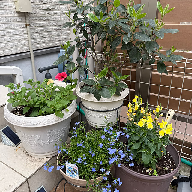 yun.mkrさんの実例写真