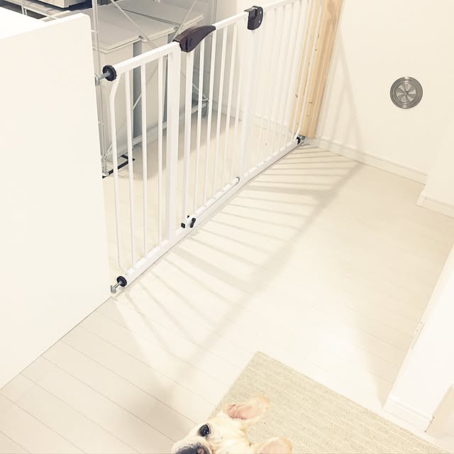 sasakiBrunaEitaさんの実例写真
