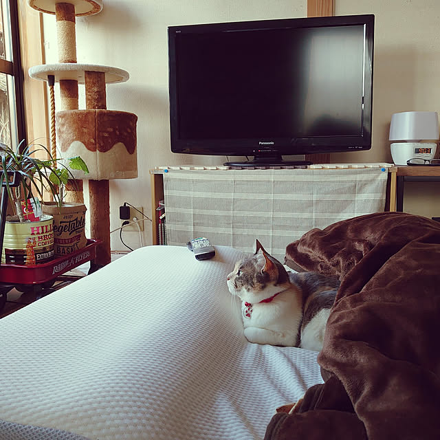 fukuさんの実例写真