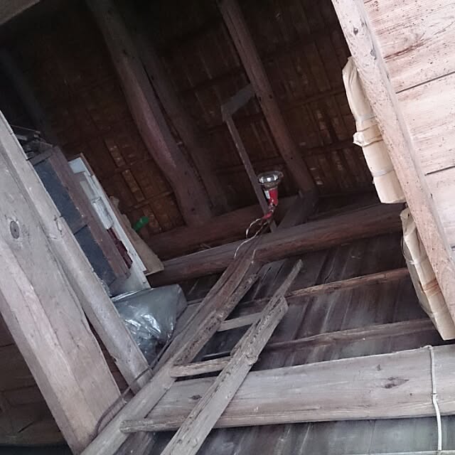 kikuさんの実例写真