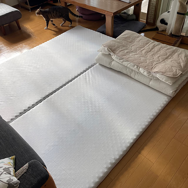 nobikoさんの部屋