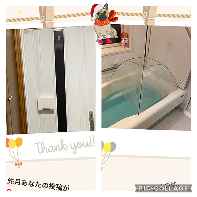 chIoeさんの実例写真