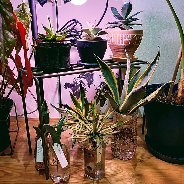 Rさんの部屋