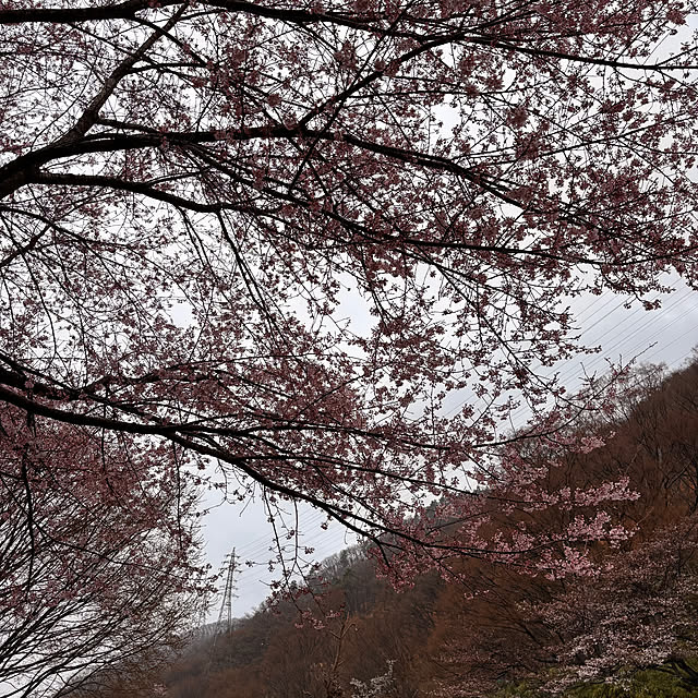 mamichopさんの部屋