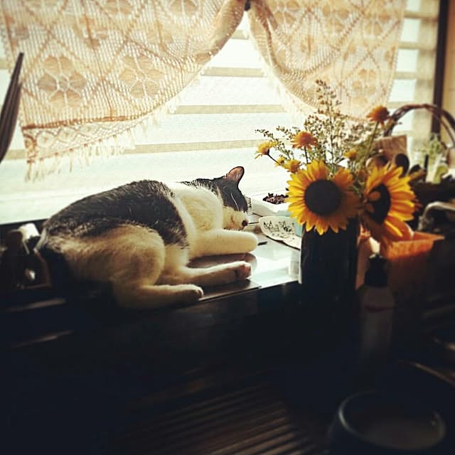 Kazukiさんの実例写真