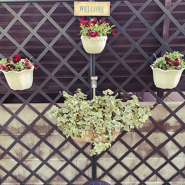 YuuKoさんの実例写真