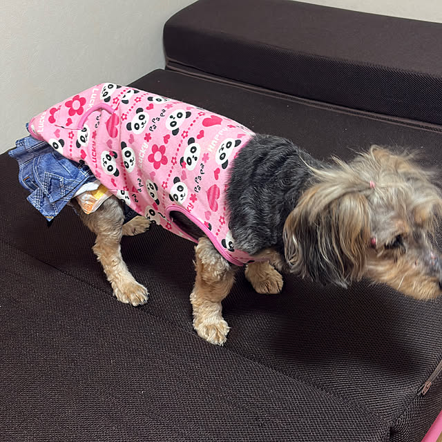 Annieさんの部屋