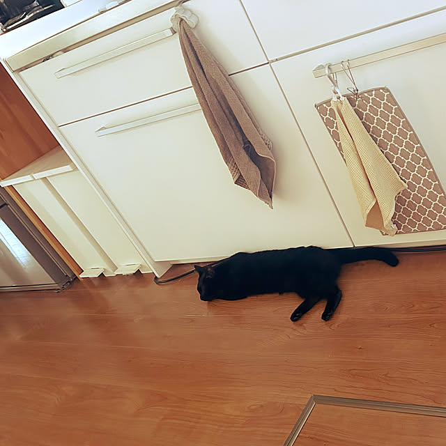 junさんの部屋