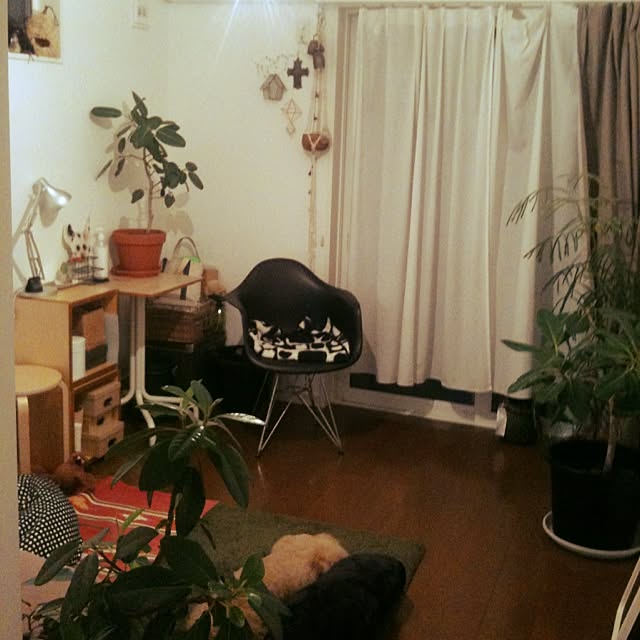 becchanさんの実例写真