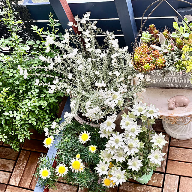 naokoさんの部屋