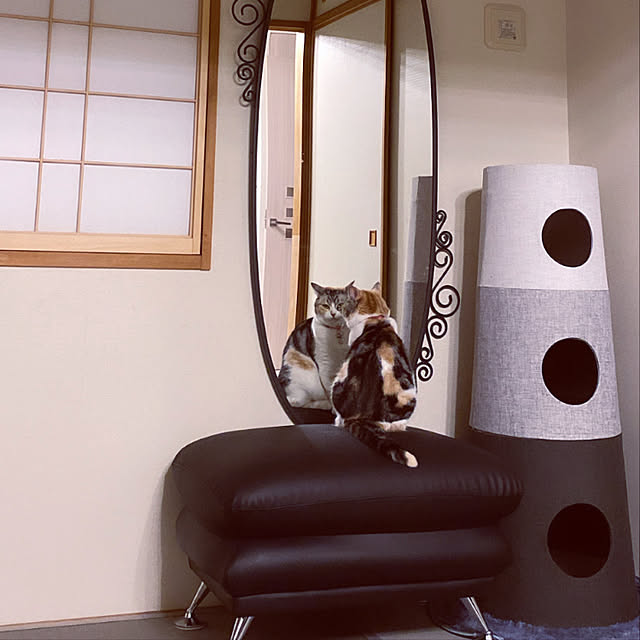 momogienistさんの実例写真