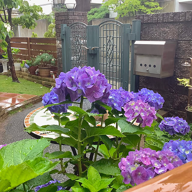 haruminさんの部屋