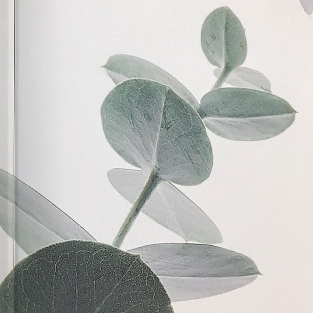 KotoRiさんの実例写真
