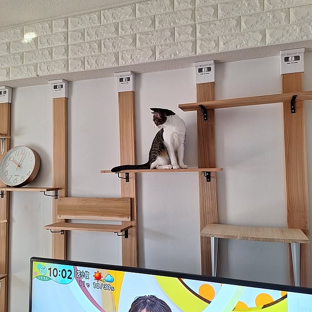 akimameさんの実例写真