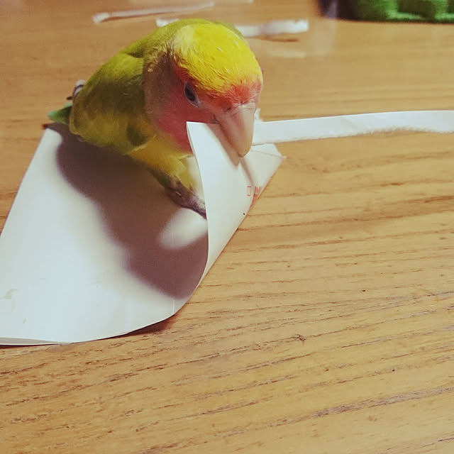 u-meさんの実例写真