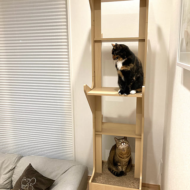 kirinsanさんの部屋