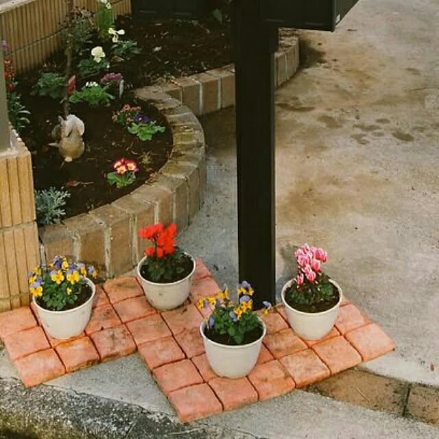 maikoronnさんの実例写真