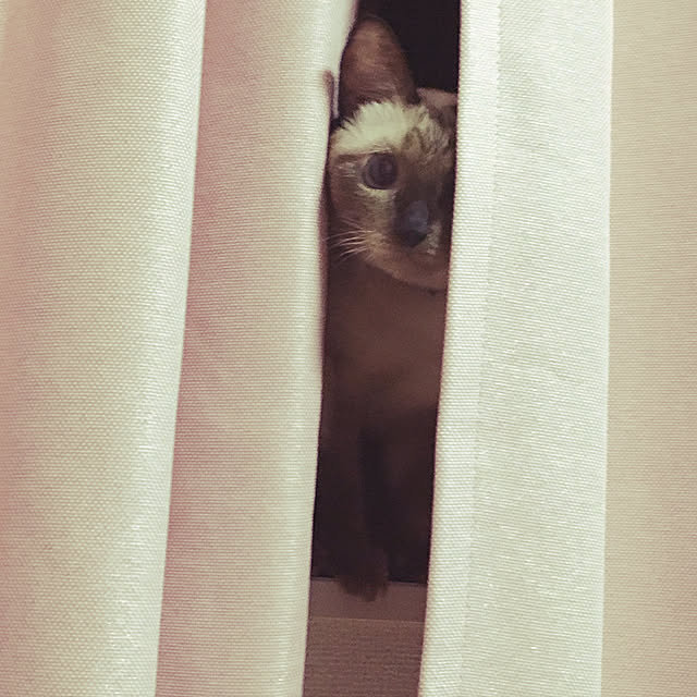 Erisaさんの実例写真