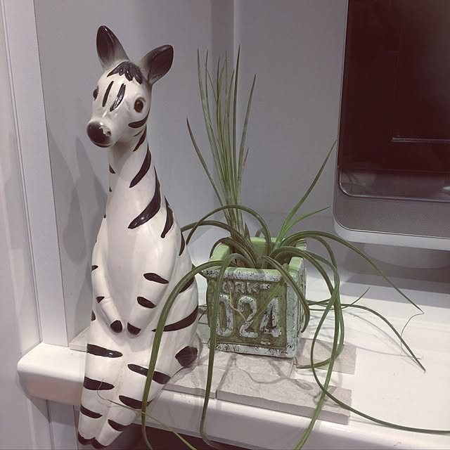 nadesikoさんの実例写真