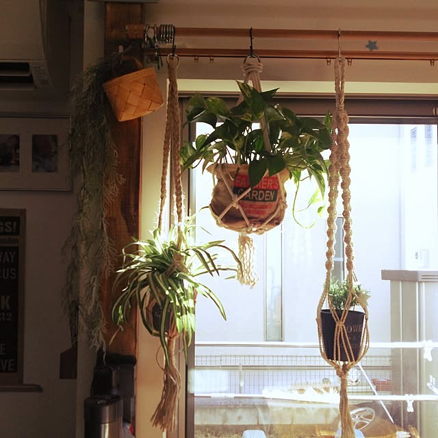 Slow...life123さんの実例写真
