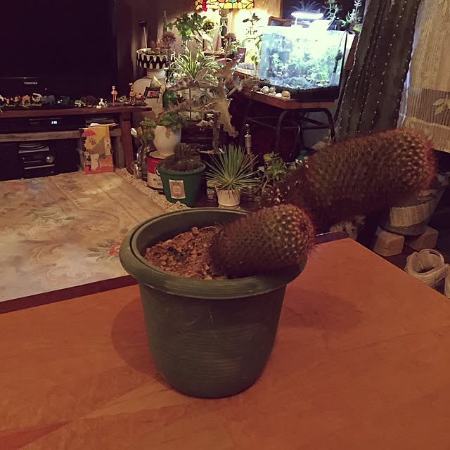 Masahideさんの実例写真