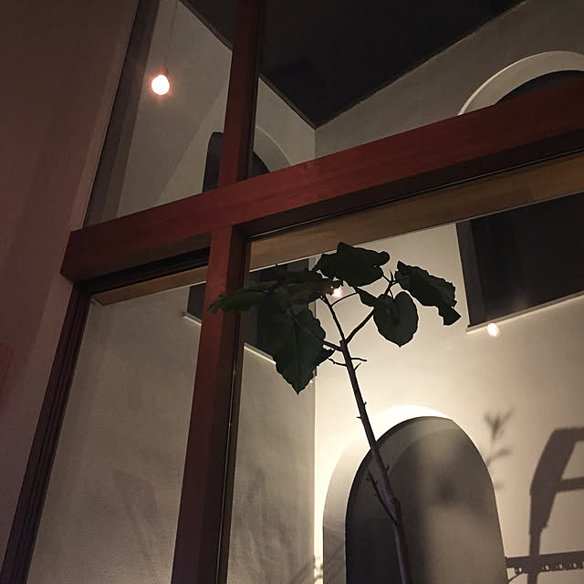 ____ayumismさんの実例写真