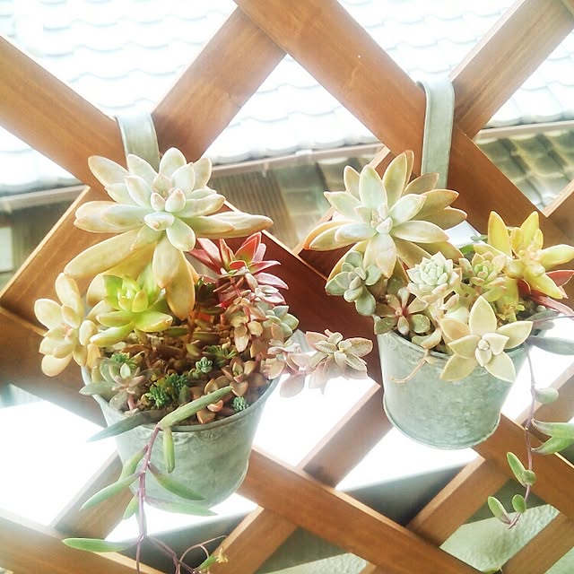 VERANDARJUNさんの実例写真
