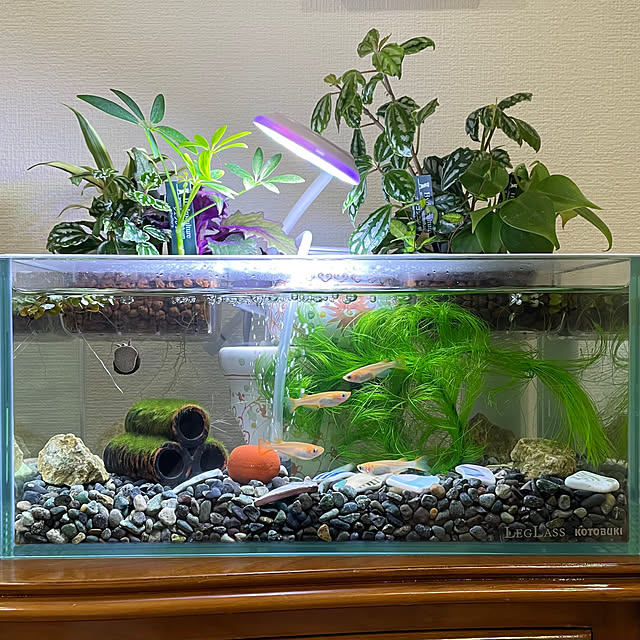 sayakaさんの実例写真