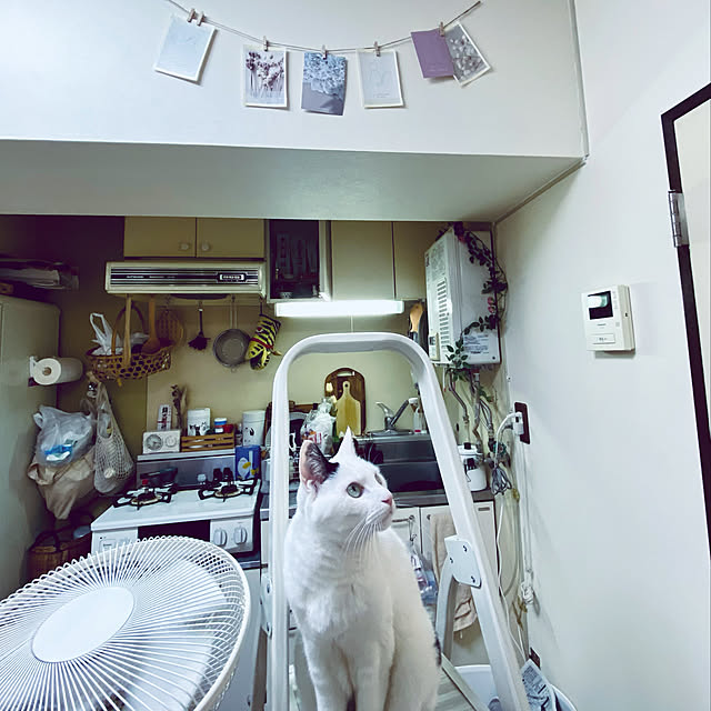 YUKAさんの実例写真