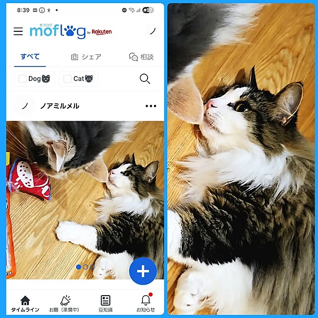 akiko6193さんの実例写真