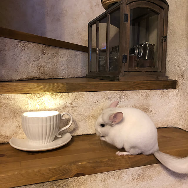 bambiさんの実例写真