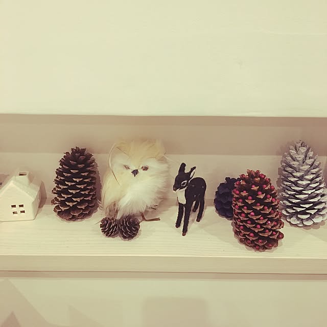 0727Macoriさんの実例写真