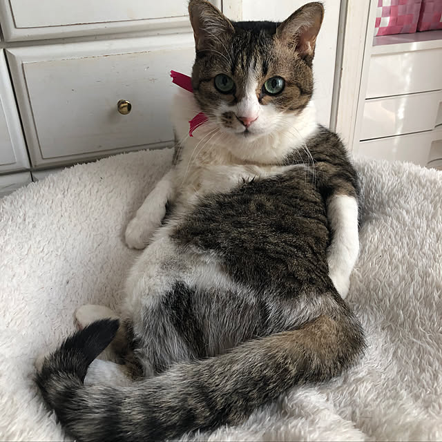 nnmmさんの実例写真