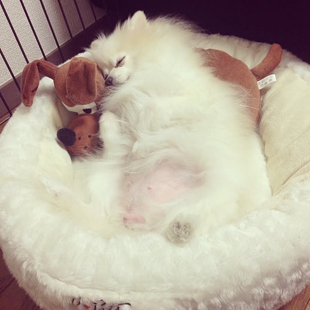 yunさんの実例写真