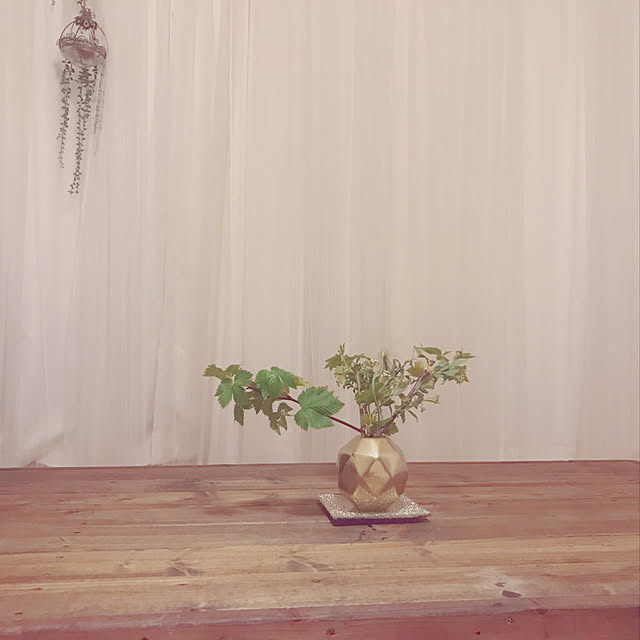 hammさんの実例写真