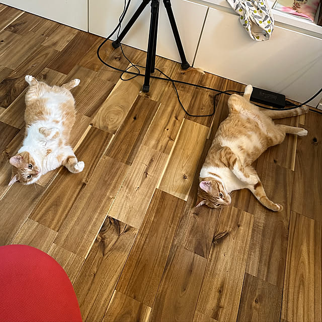 lemonadeさんの部屋