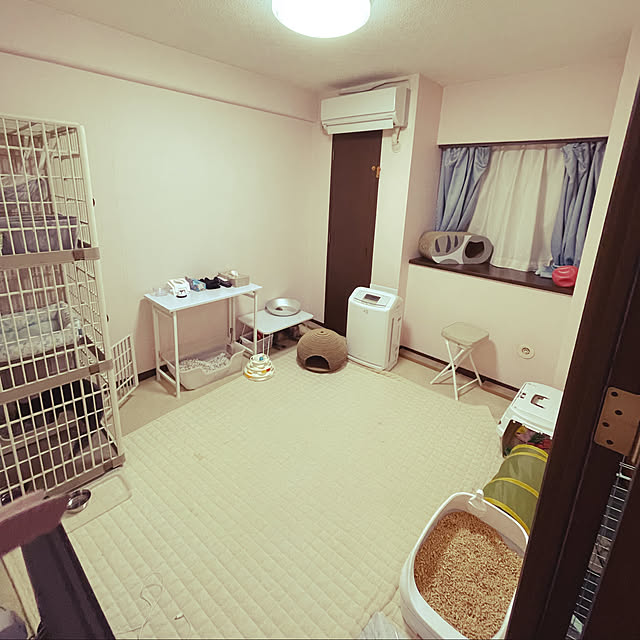 部屋全体のインテリア実例 - 2021-11-09 09:44:28