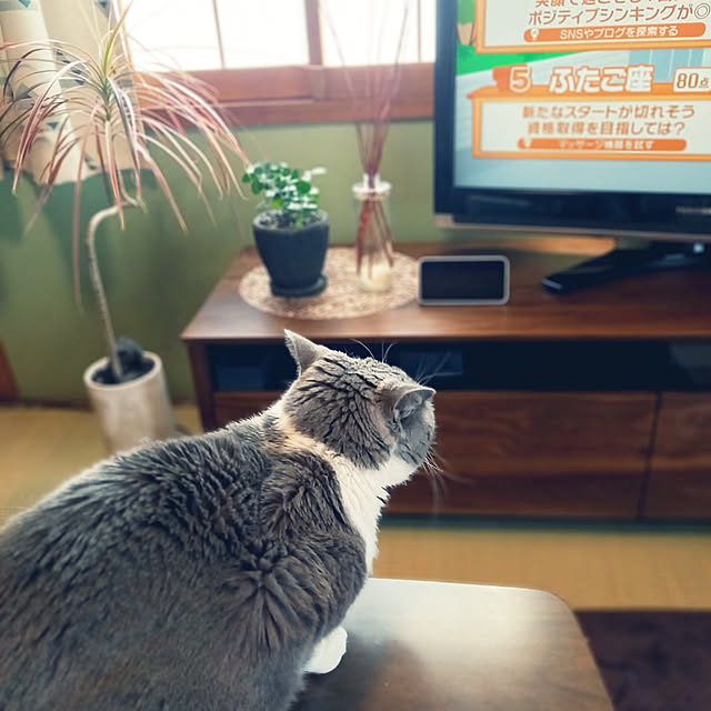 rhuさんの実例写真