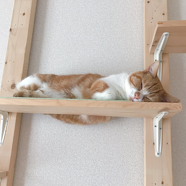 maruさんの実例写真