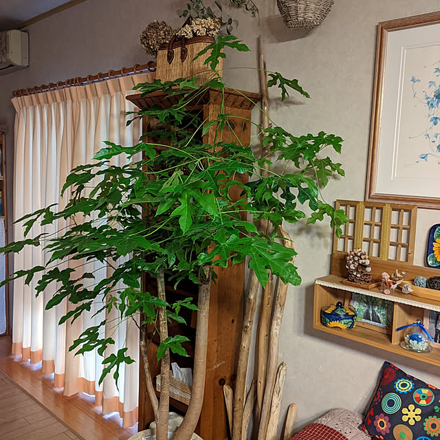 kouheiyuto24623takaさんの実例写真