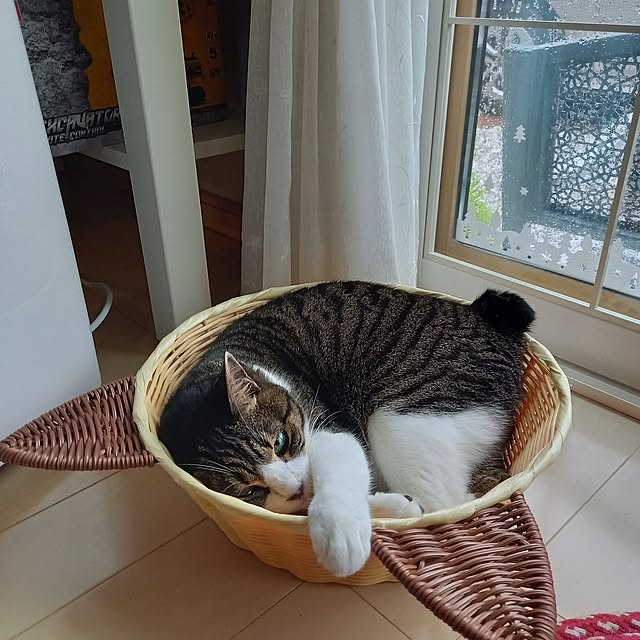 civicglさんの実例写真