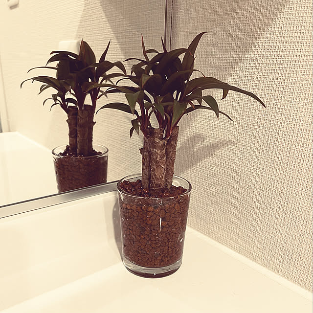 KENJIさんの実例写真