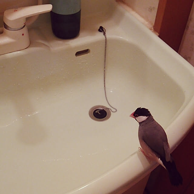 miiさんの実例写真