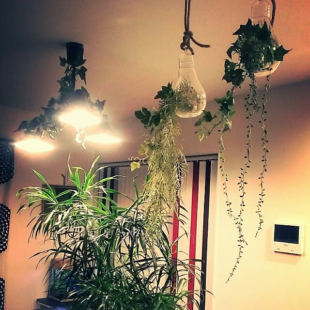 MOCOchaさんの実例写真